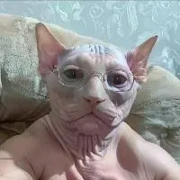 SporlisesiAdam Avatar